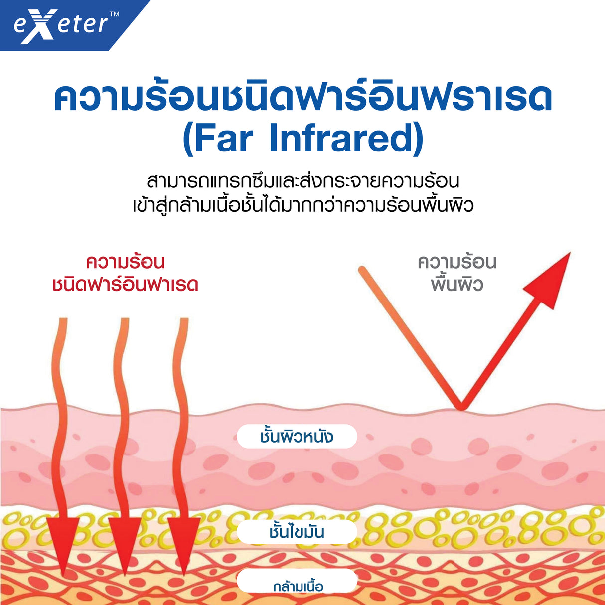 EXETER THERMO PAD (30X45CM)