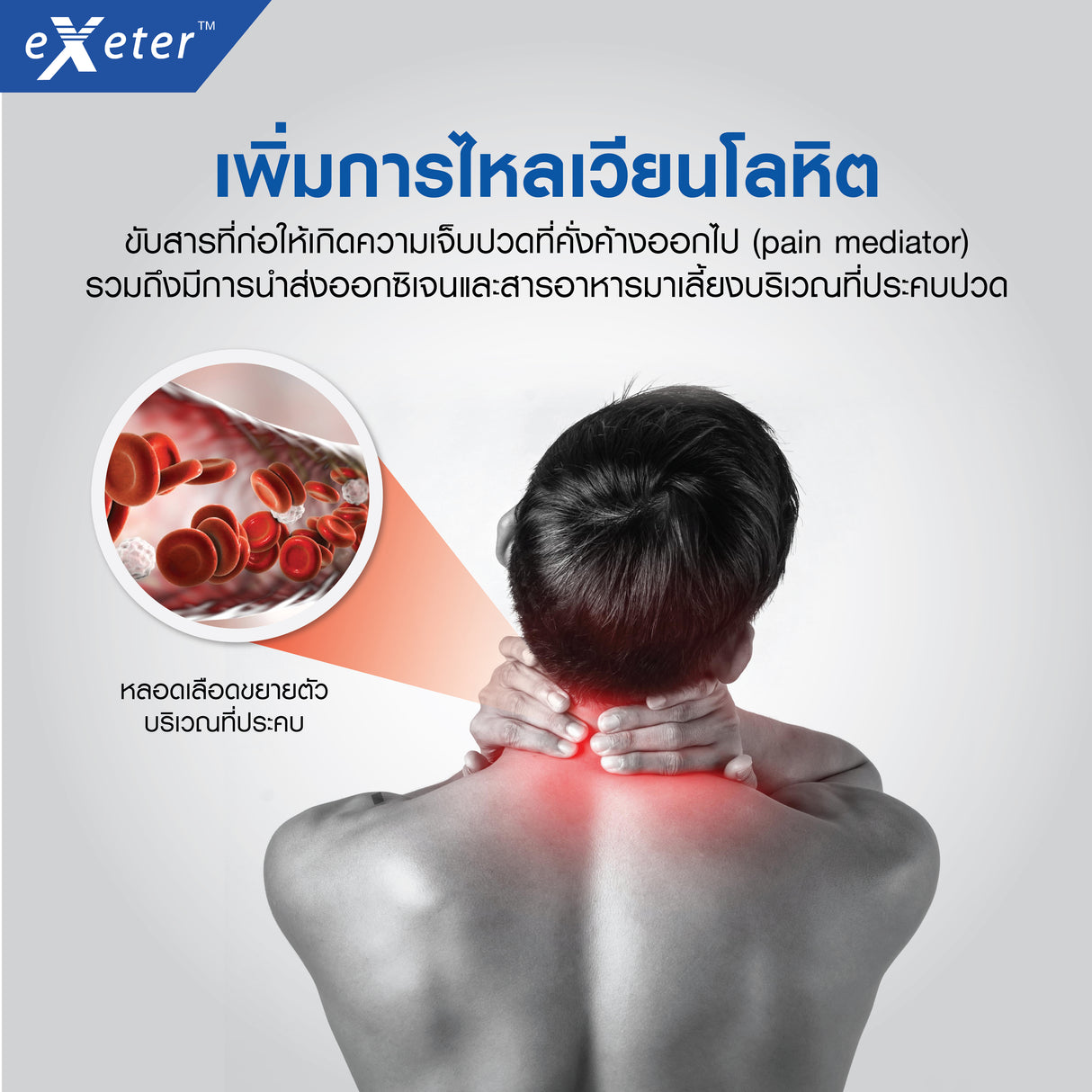 EXETER THERMO PAD (30X45CM)