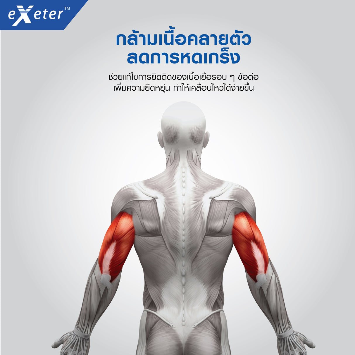 EXETER THERMO PAD (30X45CM)