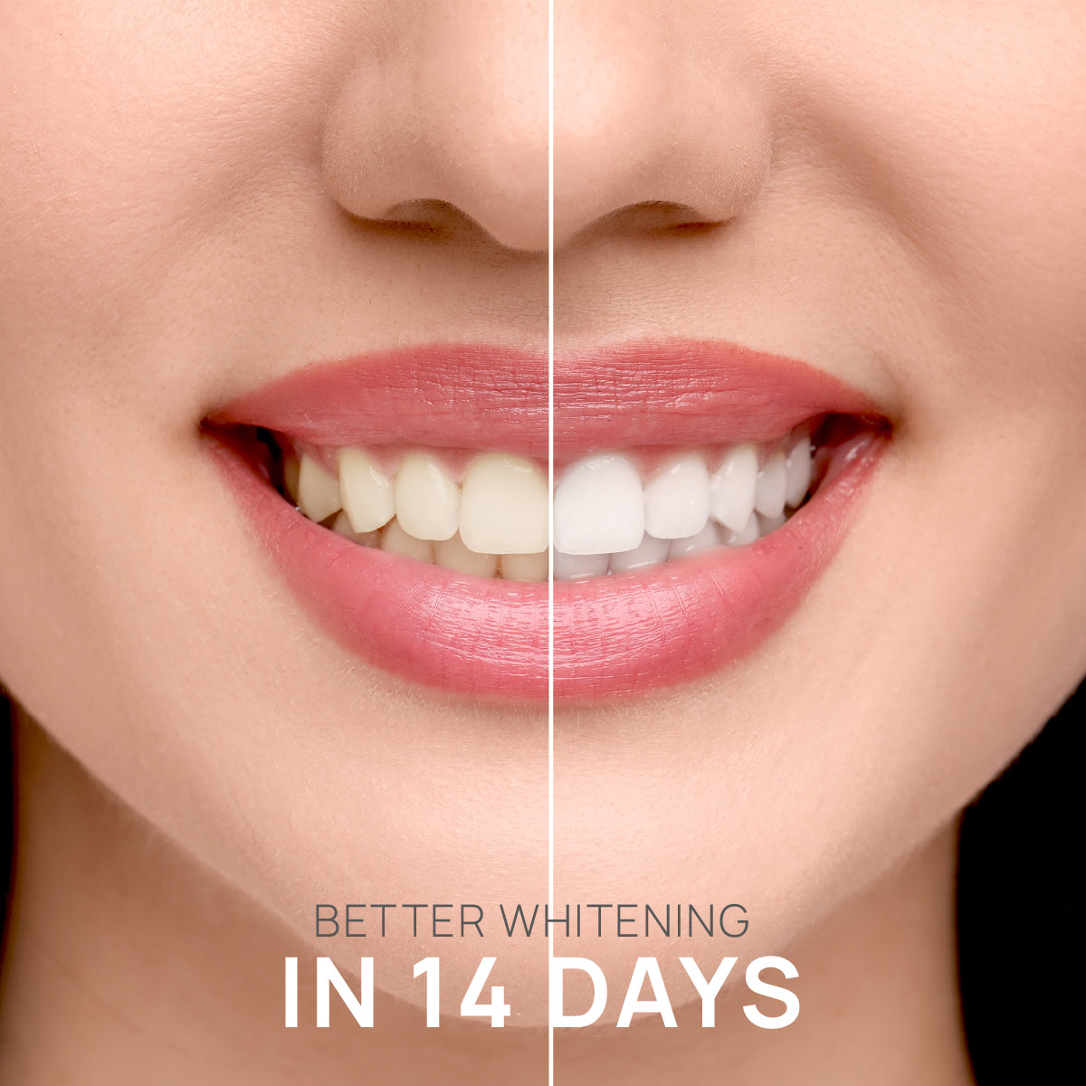 Premium & Natural White Toothpaste