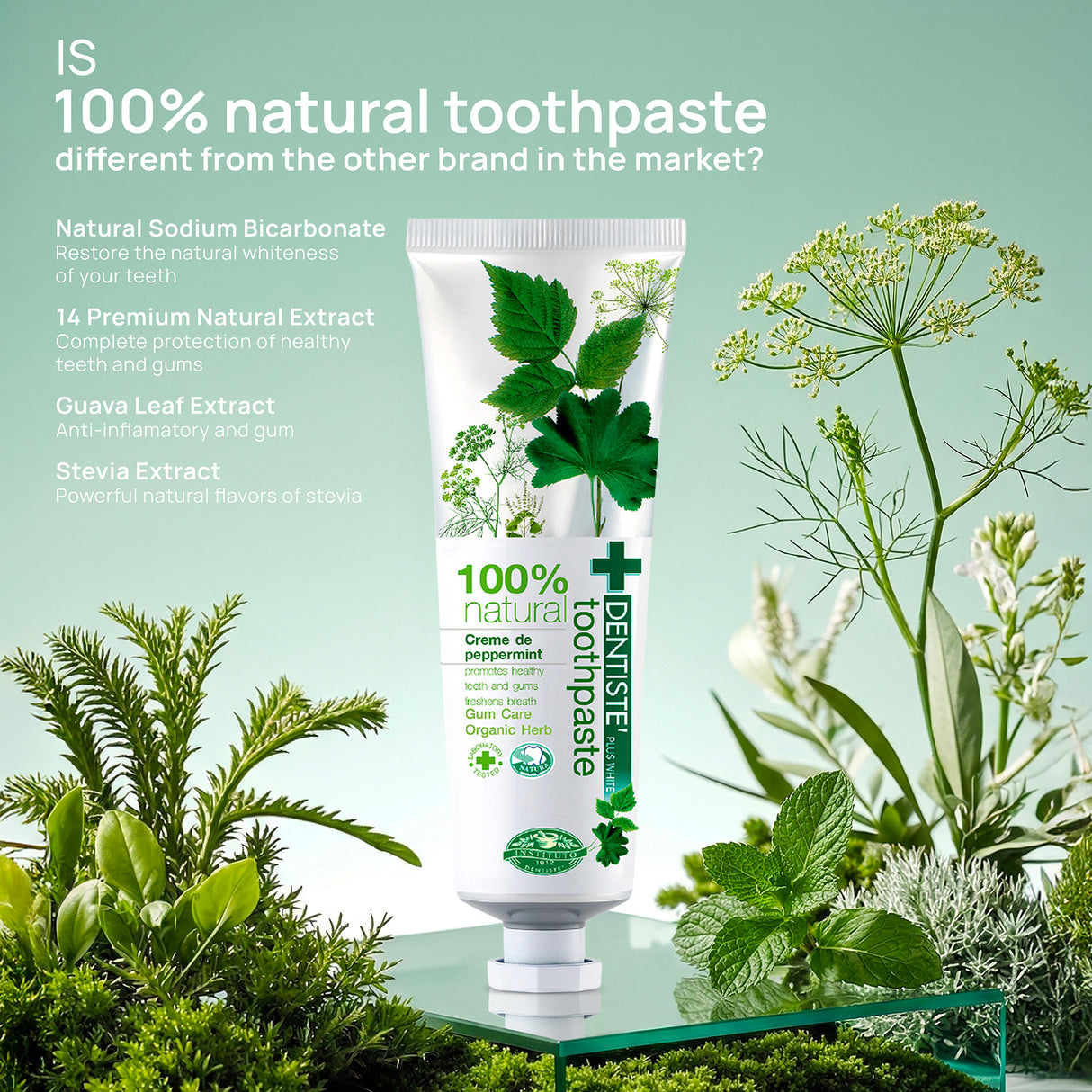 100% Natural Toothpaste