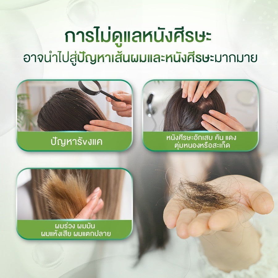 AROMASE 5α Juniper Scalp Purifying Liquid Shampoo แชมพูคลีนซิ่งหนังศีรษะ จบปัญหาหนังศีรษะ ไร้สารเคมี