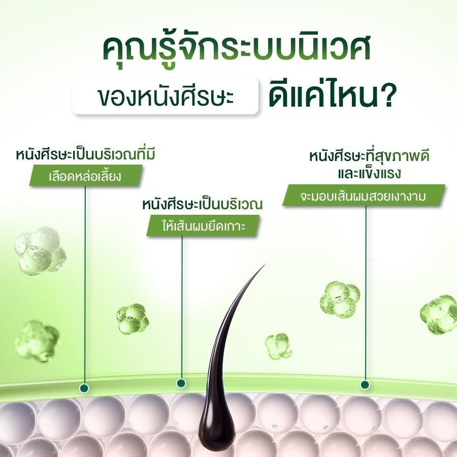 AROMASE 5α Juniper Scalp Purifying Liquid Shampoo แชมพูคลีนซิ่งหนังศีรษะ จบปัญหาหนังศีรษะ ไร้สารเคมี
