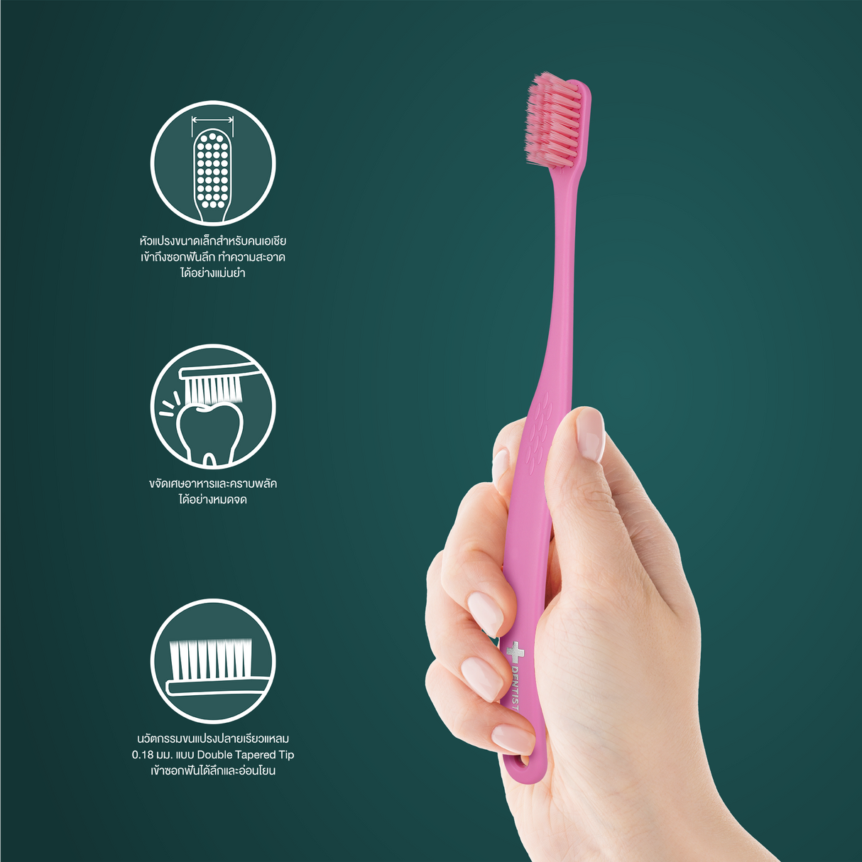 Dentiste' Ergonomic Toothbrush Twin Pack (Random Color)