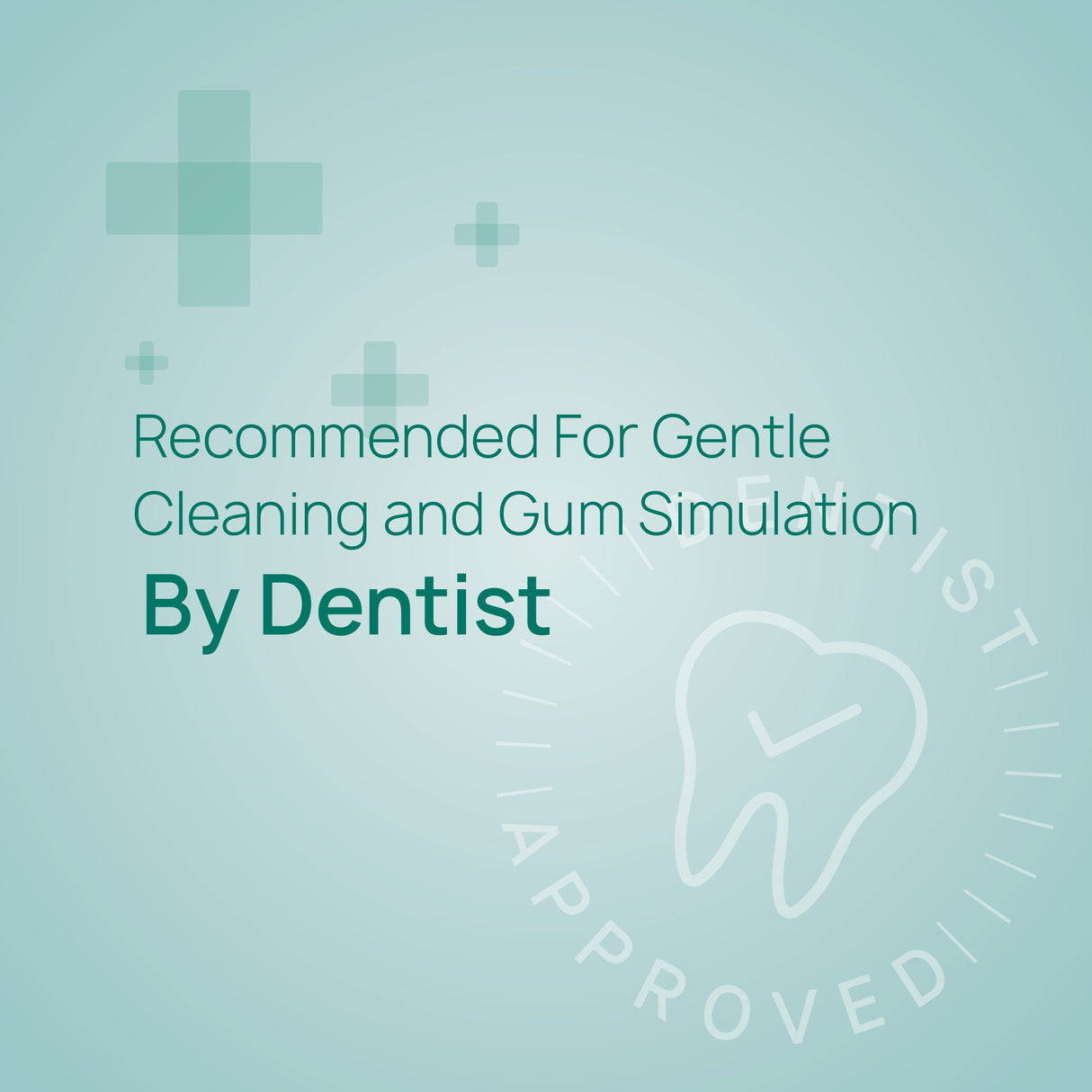 6580 Gum & Teeth Toothbrush