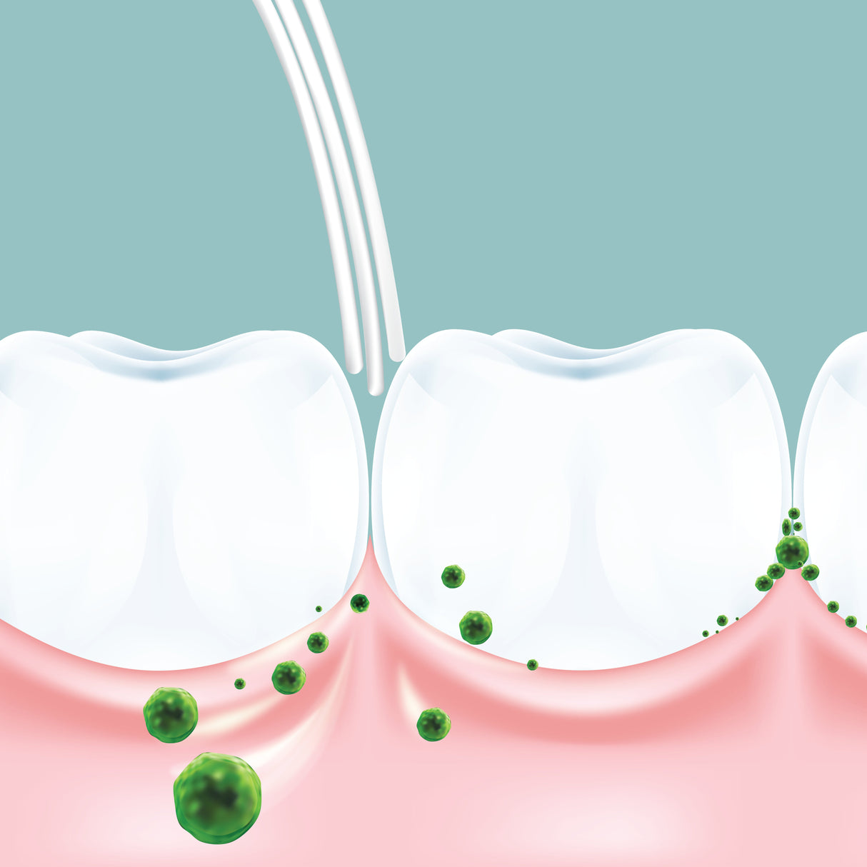 6580 Gum & Teeth Toothbrush