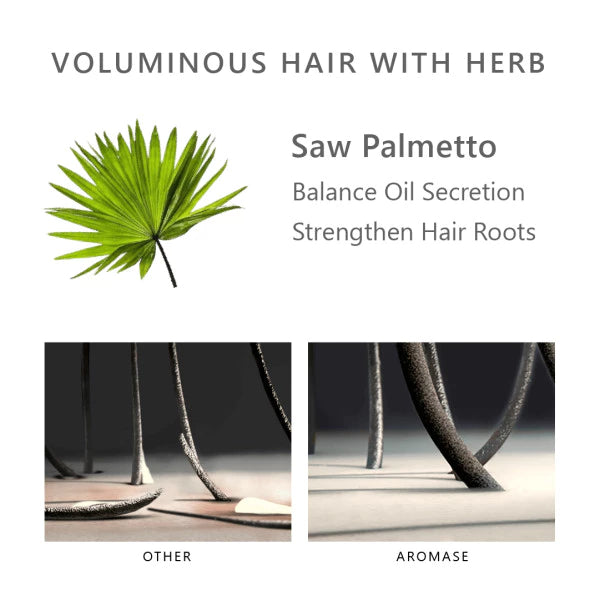 AROMASE Anti-hair Loss Essential Shampoo 400 ml. แชมพูลดผมร่วง เสริมรากผมแข็งแรง บำรุงหนังศีรษะ ขายดีอันดับ 1 ในไต้หวัน