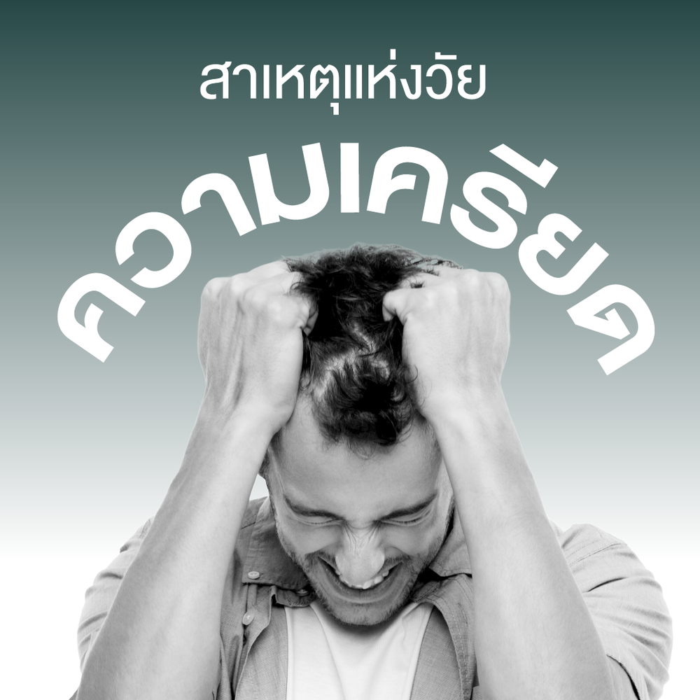 HSN Plus Zinc by Smooth Life