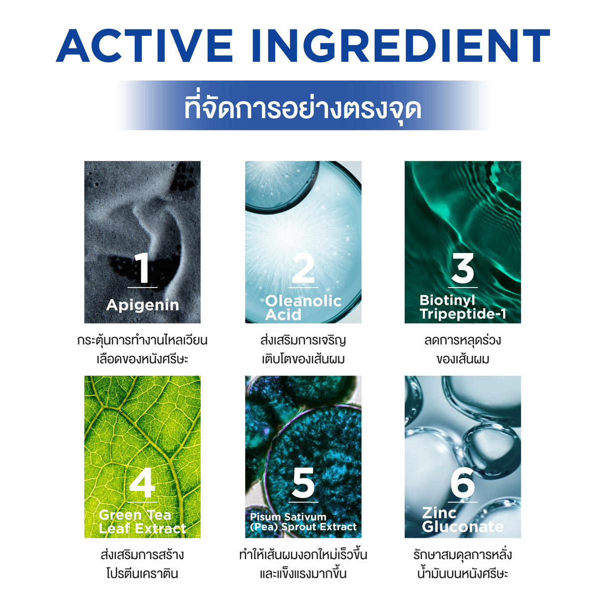 Smooth E Gentlemen Advance Hair Thickening Anti Hair Loss Shampoo