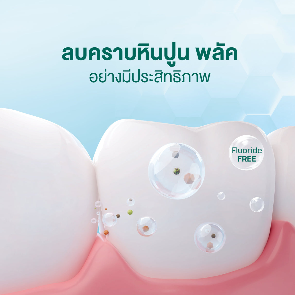 Premium & Natural White Toothpaste