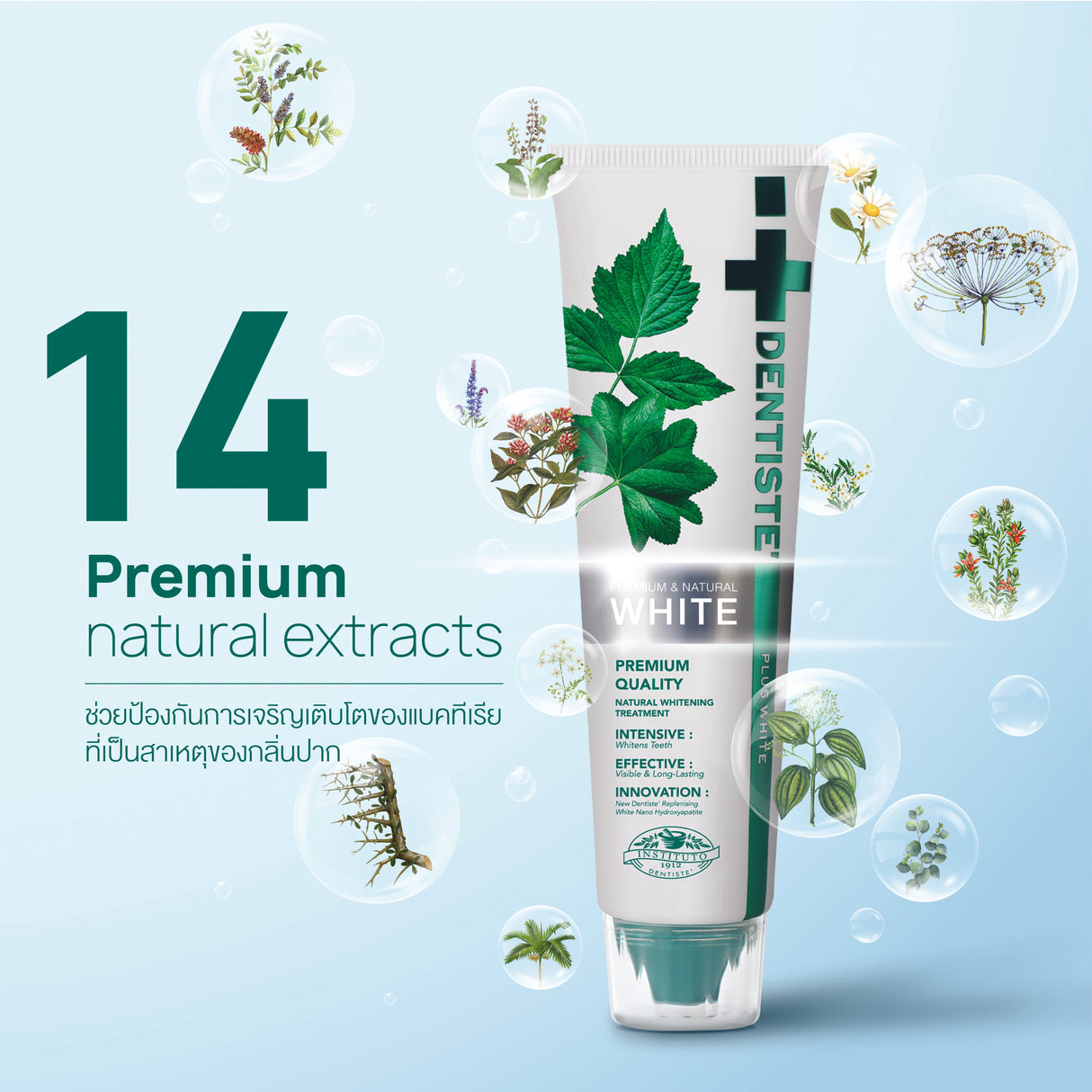 Premium & Natural White Toothpaste