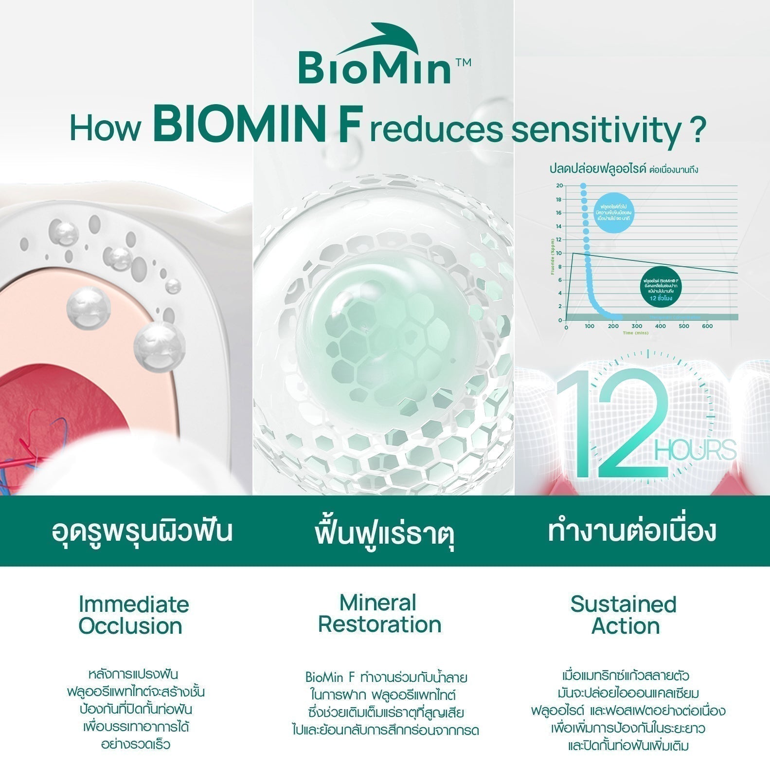ทำความรู้จัก Biomin® F