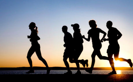 Health & Wellness