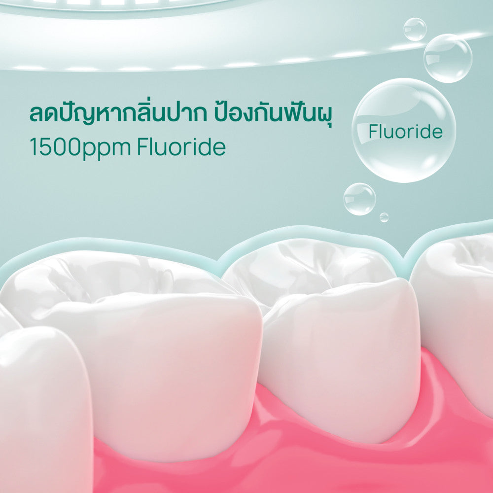 Dentiste น้ำยาบ้วนปาก Oral Rinse 700ml. ฟรี! ยาสีฟันแปรงแห้ง Anticavity Max Fluoride 100g