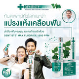 Dentiste Ergo Travel Set เซ็ตแปรงแห้ง ทำความสะอาดช่องปาก พกพาสะดวก (คละสี)
