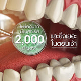 Dentiste' ยาสีฟันพร้อมแปรงสีฟันขนาดพกพา Travel Pack Foldable ยาสีฟัน original 20g. + แปรงสีฟันพับได้