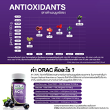 NOLA ACAI BERRY อาซาอิเบอร์รี่ ฟรีซดราย 30/60 CAPSULE