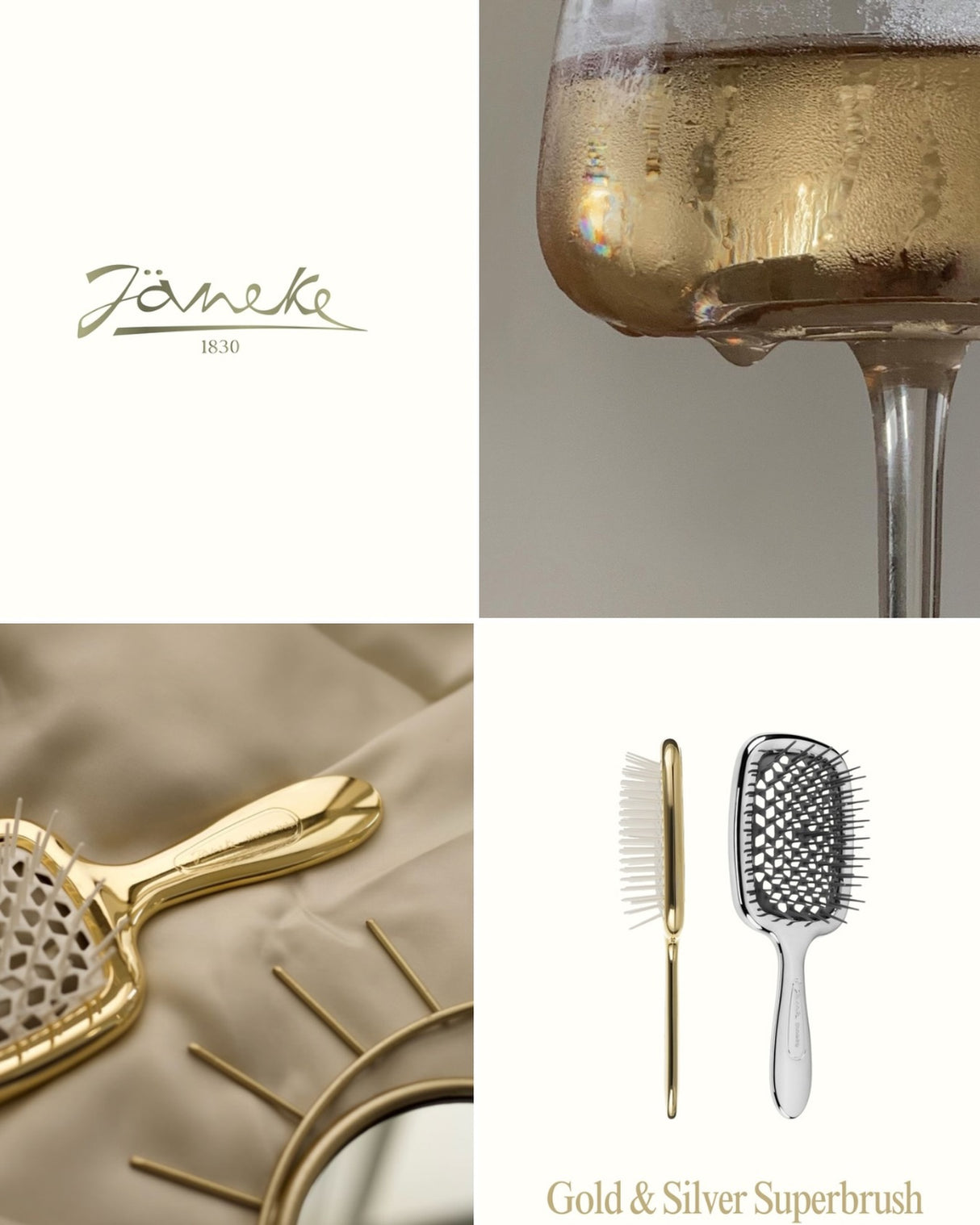 [NEW]  Janeke Premium Superbrush Silver