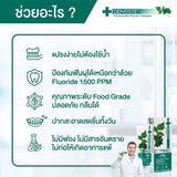 Dentiste Ergo Travel Set เซ็ตแปรงแห้ง ทำความสะอาดช่องปาก พกพาสะดวก (คละสี)