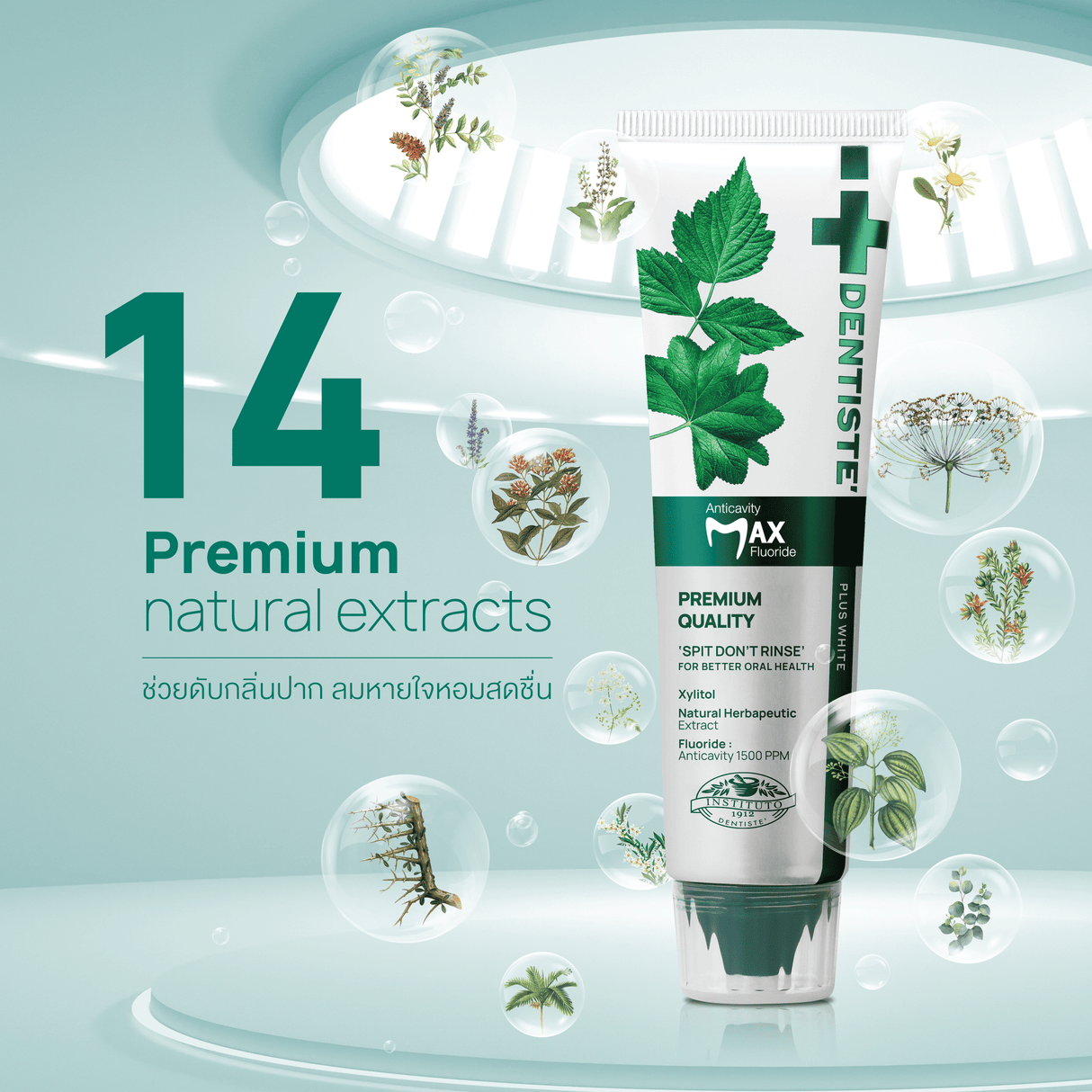 [Free Gift] Anticavity Max Fluoride Toothpaste