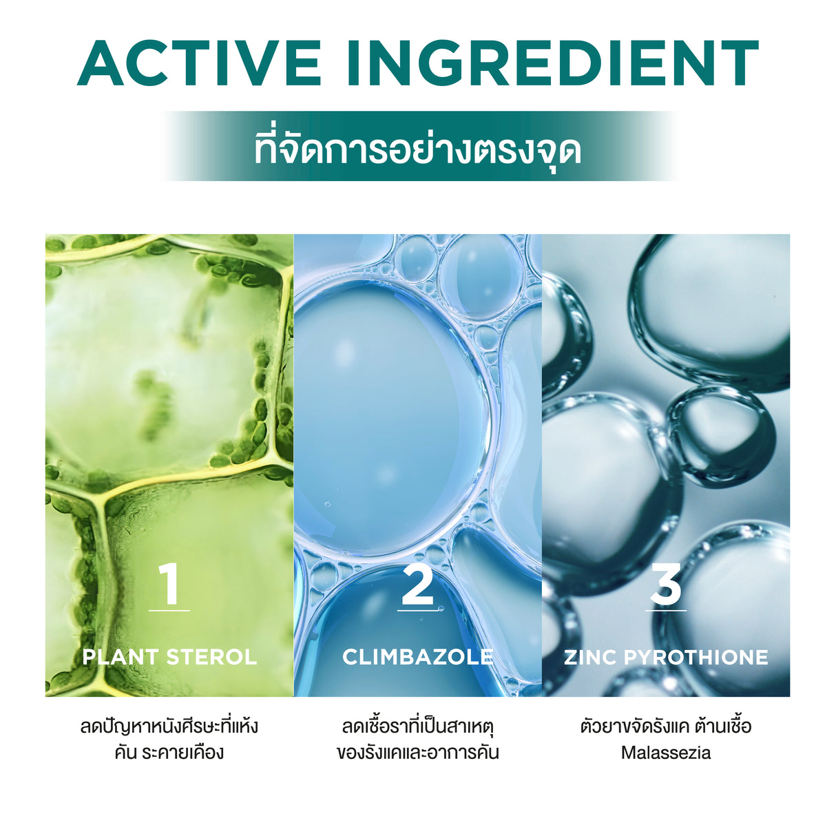 Smooth E Anti Hair Loss Hair Thickening Shampoo
