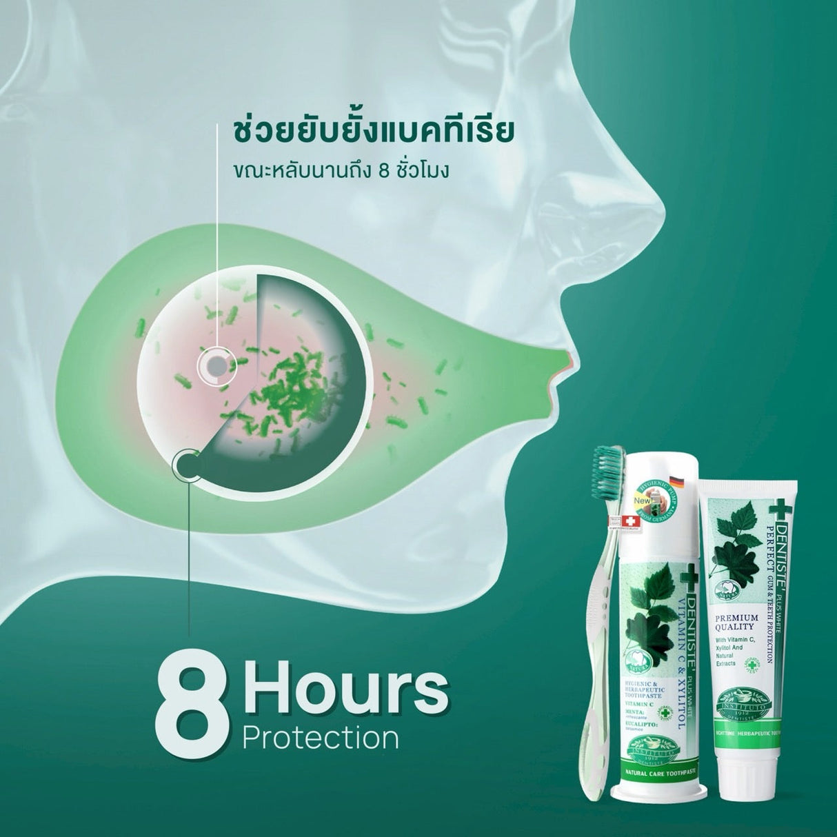 [Buy 1 Get 1] Dentiste Original Nighttime Toothpaste 100 g Free! Ergonomic Toothbrush