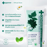 [Buy 1 Get 1] Dentiste Original Nighttime Toothpaste 100 g Free! Ergonomic Toothbrush